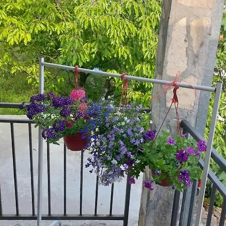 Guest House Vodica Virpazar Exterior photo