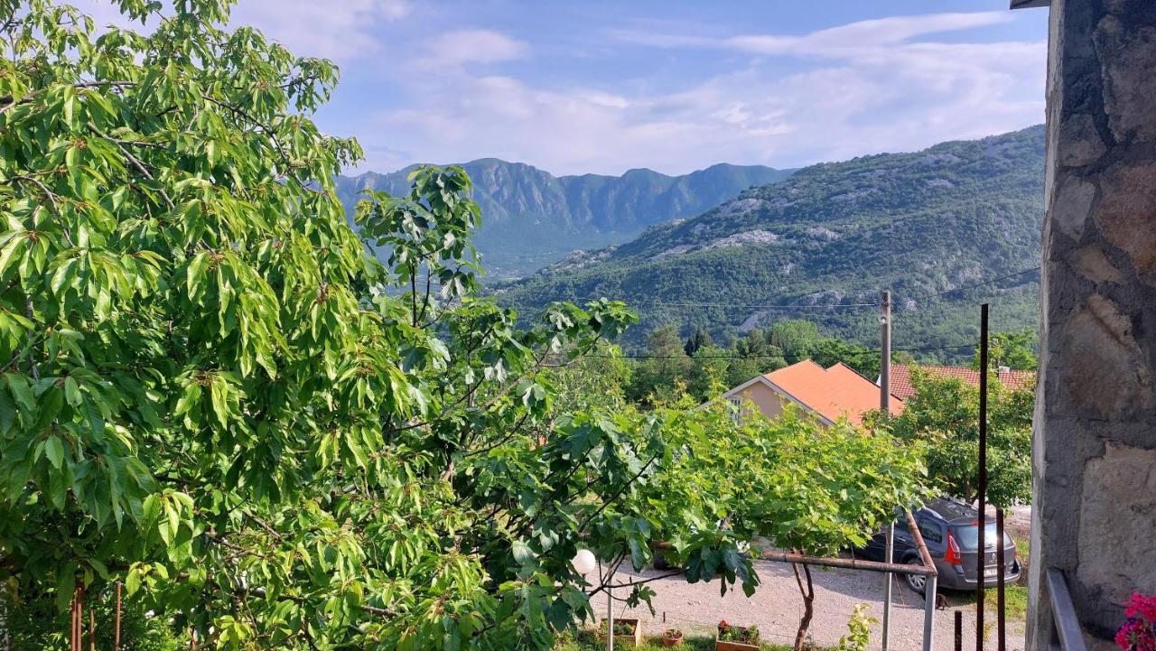 Apartment Vodica *