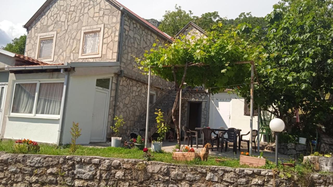 Apartment Vodica *