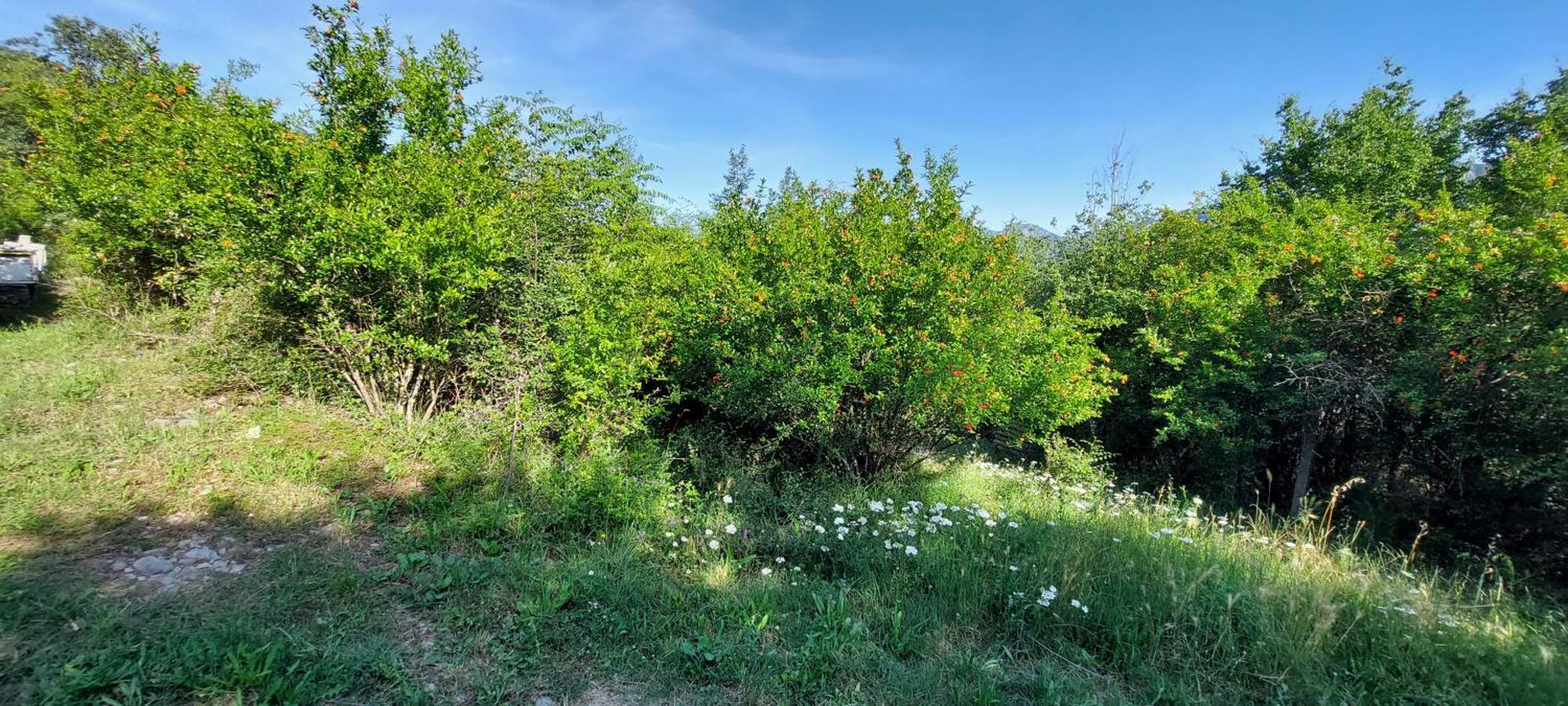 Apartment Vodica Virpazar